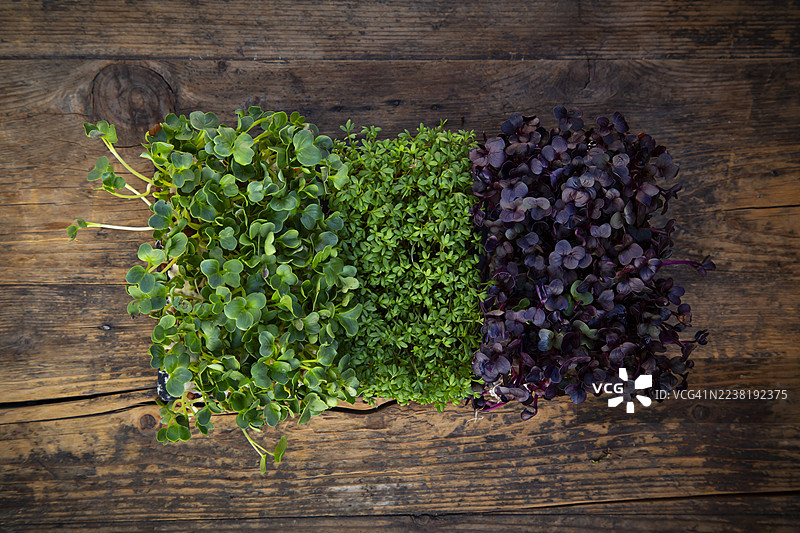 不同种类的有机新鲜水芹在乡村风格的木桌上图片素材
