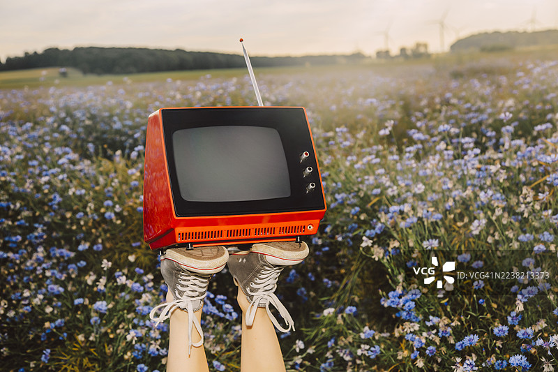 放松的人在夏季草地上抱着复古红色电视，旁边有紫色矢车菊。图片素材