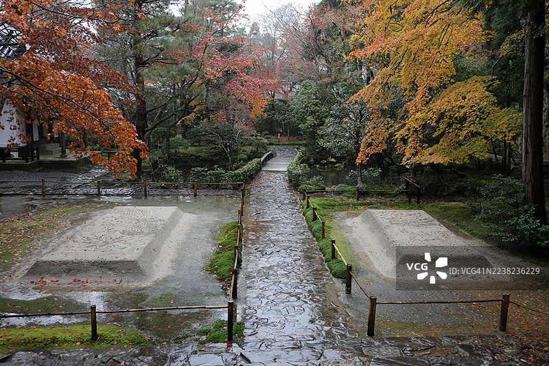日本京都的宁静景象——寒雨中，晚秋时节的法然院庭院景色图片素材