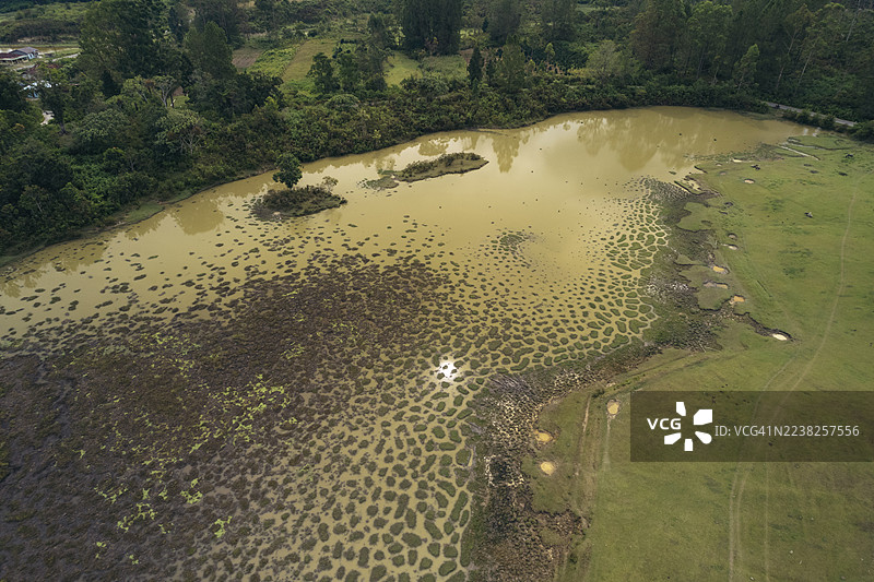 印度尼西亚苏门答腊岛，苏门答腊岛，北苏门答腊，世界上最大的破火山口中的萨摩西岛上的池塘的航拍图图片素材