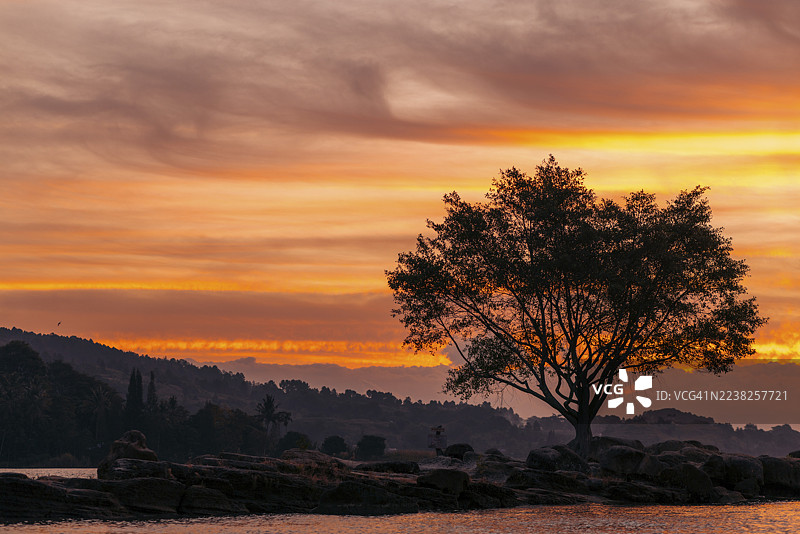 印度尼西亚北苏门答腊省多巴湖畔巴图帕萨梁西波古的日落大树景观图片素材