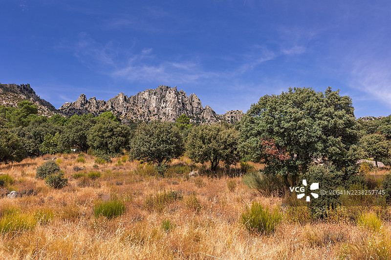 地中海岩石山脉，野草丛生，蓝天白云图片素材