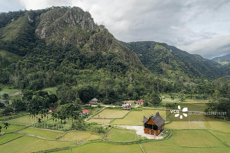 葱郁的田野、传统房屋和高耸的山脉构成的风景。印度尼西亚西苏门答腊哈劳谷。图片素材