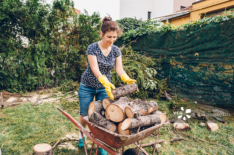 女人为冬天准备木柴图片素材