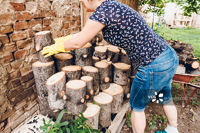 女人为冬天准备木材图片素材