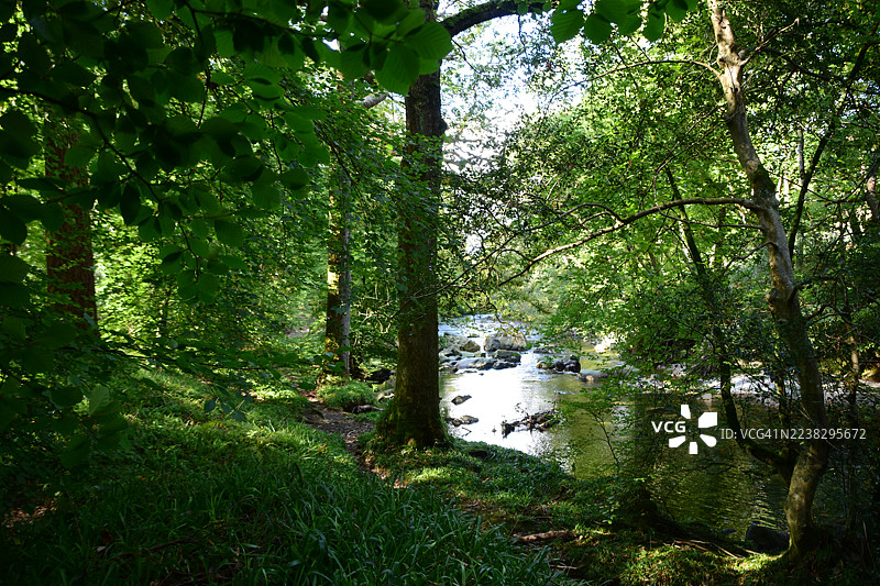 河畔树林间的埃斯克代尔图片素材