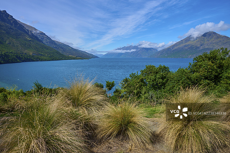 前景是高高的草丛,远处是湖泊和周围的山脉,位于新西兰南岛奥塔哥地区皇后镇湖区瓦卡蒂普湖的漂流湾(Drift Bay, Lake Wakatipu, Queenstown-Lakes District, Otago, South Island, New Zealand)。图片素材