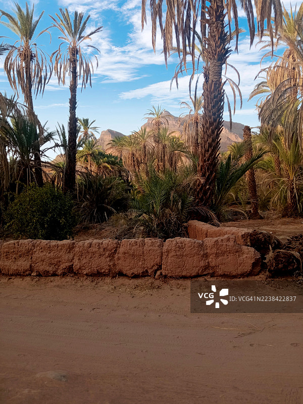蓝天下群山环绕的葱郁棕榈绿洲图片素材