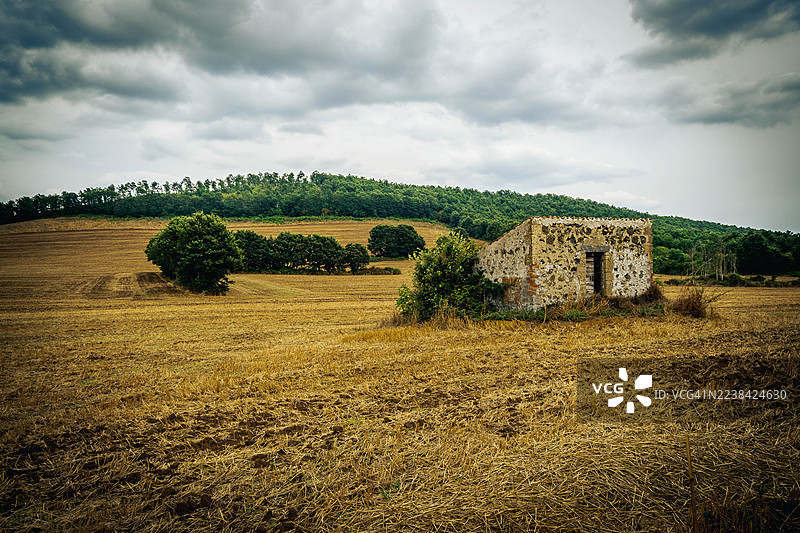 金色麦田里的乡村石屋，背景是戏剧性的多云天空，周围环绕着绿树和山丘，意大利博尔塞纳。图片素材