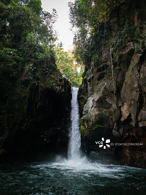 郁郁葱葱的热带雨林中，雄伟的瀑布倾泻而下，汇入岩石泳池。图片素材