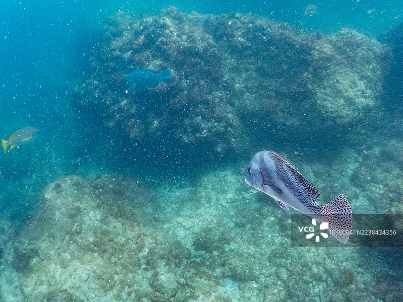 新月唇 the图片素材