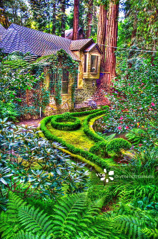 迷人的森林花园，带有石头房子和茂密的绿植，美国索萨利托图片素材