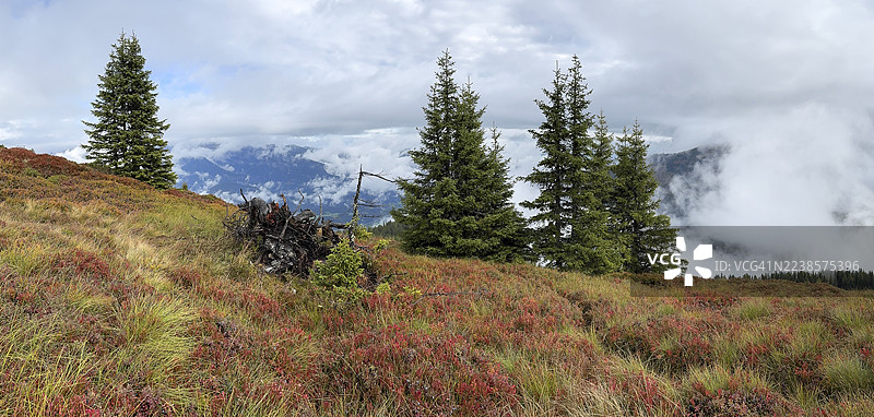 秋季色彩斑斓的风景，有薄雾，施拉德明陶恩，施拉德明，施蒂利亚，奥地利图片素材