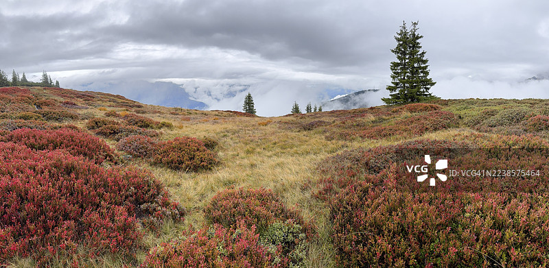 秋季色彩斑斓的风景，笼罩着雾气，地点：施拉德明陶恩，施拉德明，施蒂利亚，奥地利图片素材