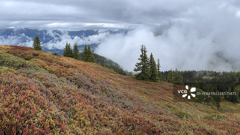 秋季有雾的彩色风景，施拉德明陶恩，施拉德明，施蒂利亚，奥地利图片素材