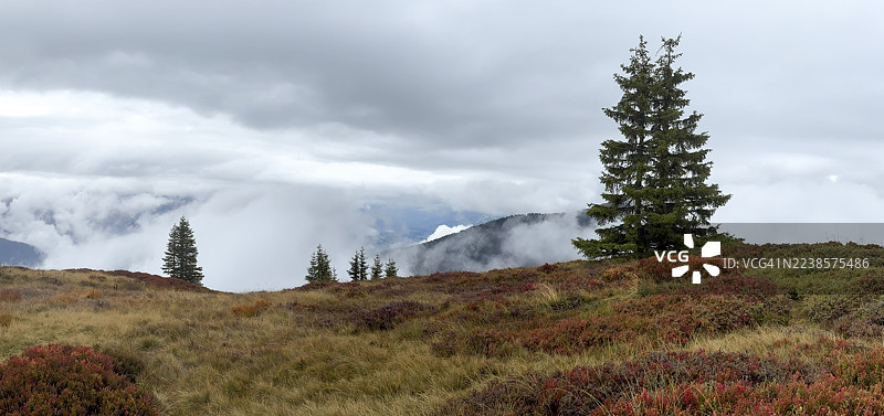 秋天的彩色风景，笼罩着薄雾，位于奥地利施蒂利亚州施拉德明，施拉德明陶恩。图片素材