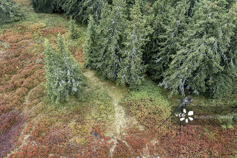 秋季多彩的风景，俯瞰视角，施拉德明陶恩，施拉德明，施蒂利亚，奥地利图片素材