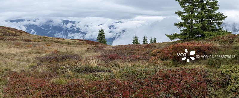 秋季色彩斑斓的风景，笼罩着薄雾，位于奥地利施蒂利亚州施拉德明地区的施拉德明陶恩。图片素材