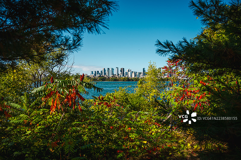 让-德拉波公园的蒙特利尔天际线图片素材