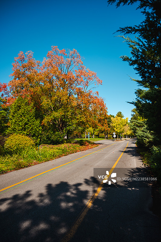 秋天的让·德拉波公园，蒙特利尔图片素材