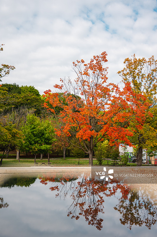 秋季蒙特利尔让·德拉普雷公园图片素材