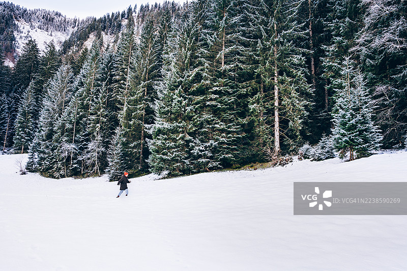 戴着红色针织帽的渺小人物行走在广阔的雪景冬季风光中，背景有松树林图片素材