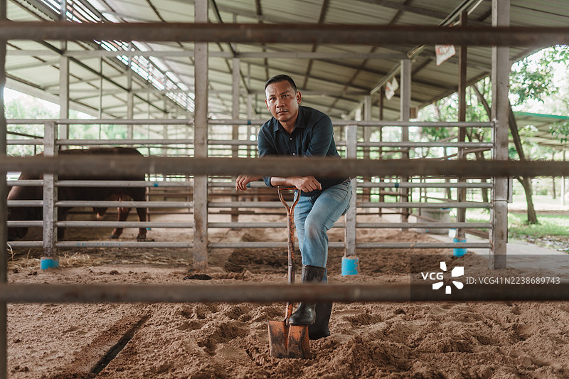 亚洲牧场主在牛棚里手持铁锹的肖像，代表农业职业、牲畜管理和可持续畜牧业的智慧农场实践。图片素材