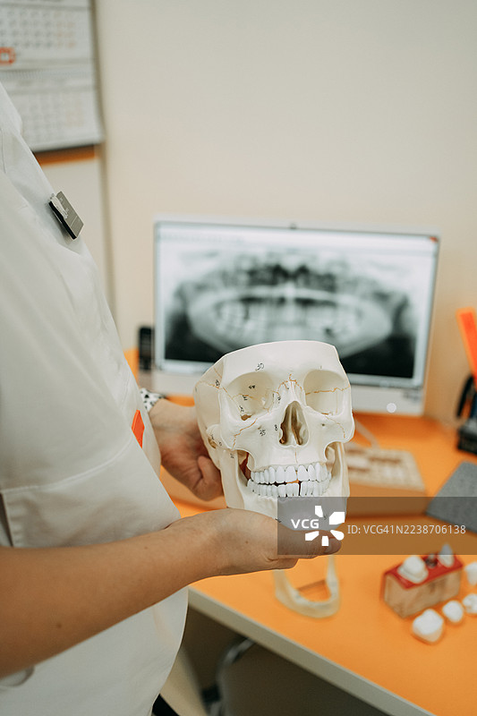 牙医使用头骨模型讲解牙齿解剖结构图片素材
