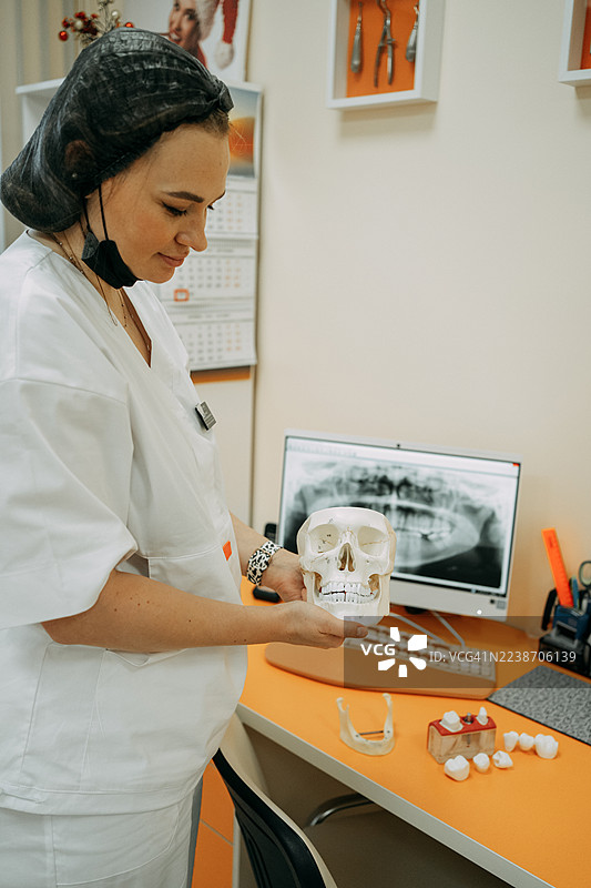 女牙医手持牙齿X光片屏幕上的头骨模型图片素材