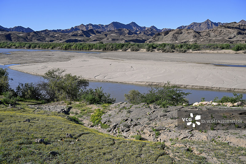 纳米比亚卡拉斯地区奥兰治蒙德附近奥兰治河畔的盛开景象图片素材