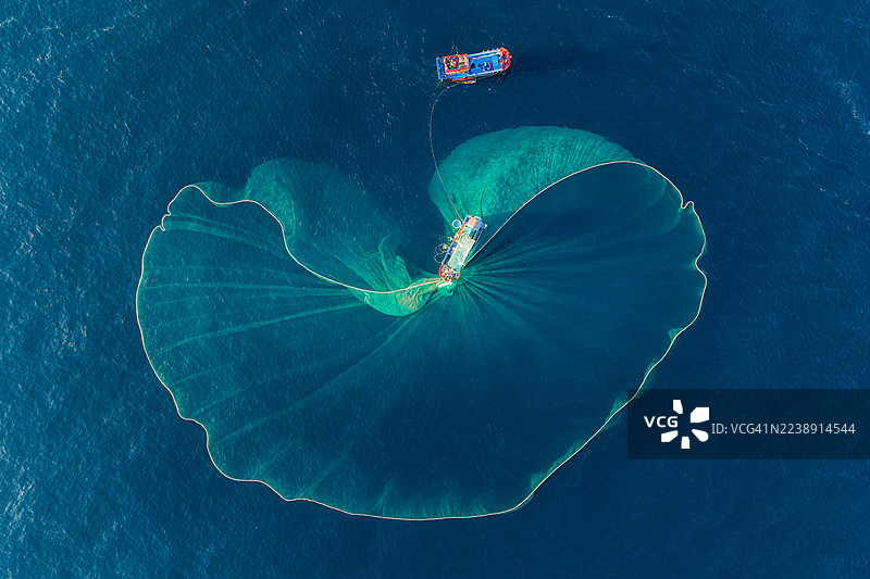 捕捞凤尾鱼图片素材