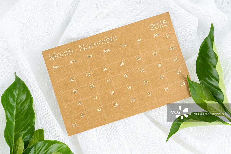 2025年11月棕色日历页面，白织物上装饰有绿叶。图片素材