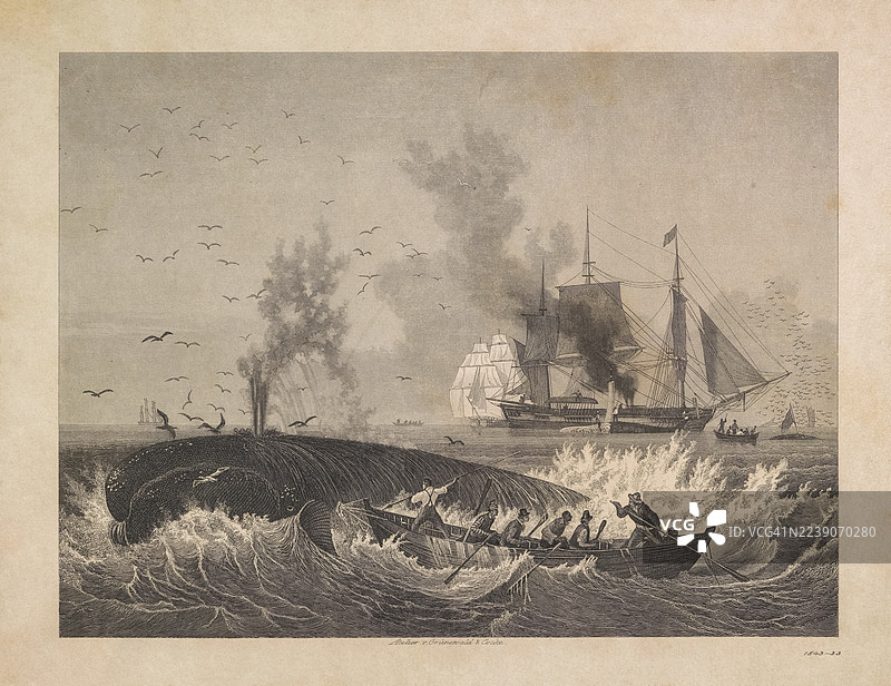 历史船只的捕鲸场景图片素材