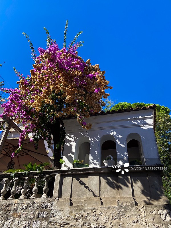 黑山一栋带植物的美丽房屋图片素材