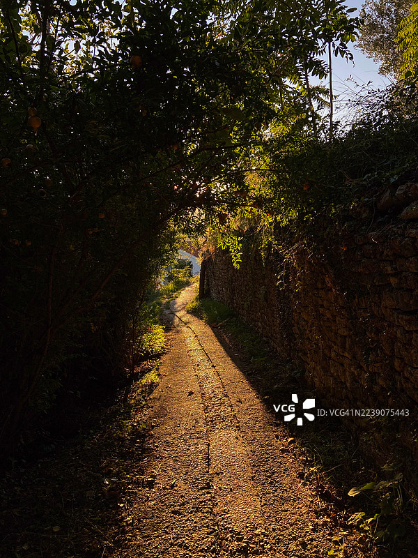 黑山花园间的小径图片素材