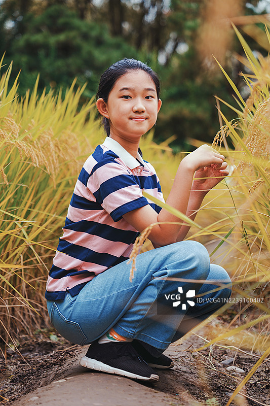 小女孩拿着稻穗图片素材