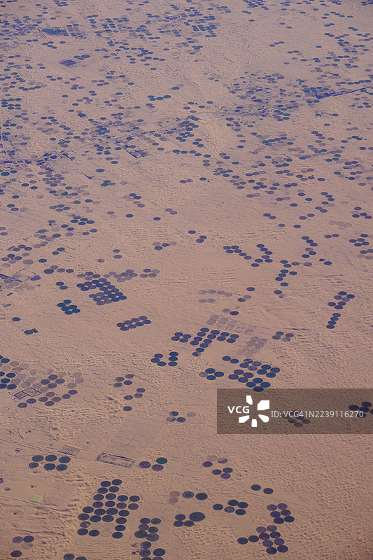 撒哈拉沙漠阿尔及利亚厄尔瓦德的圆形农田图片素材