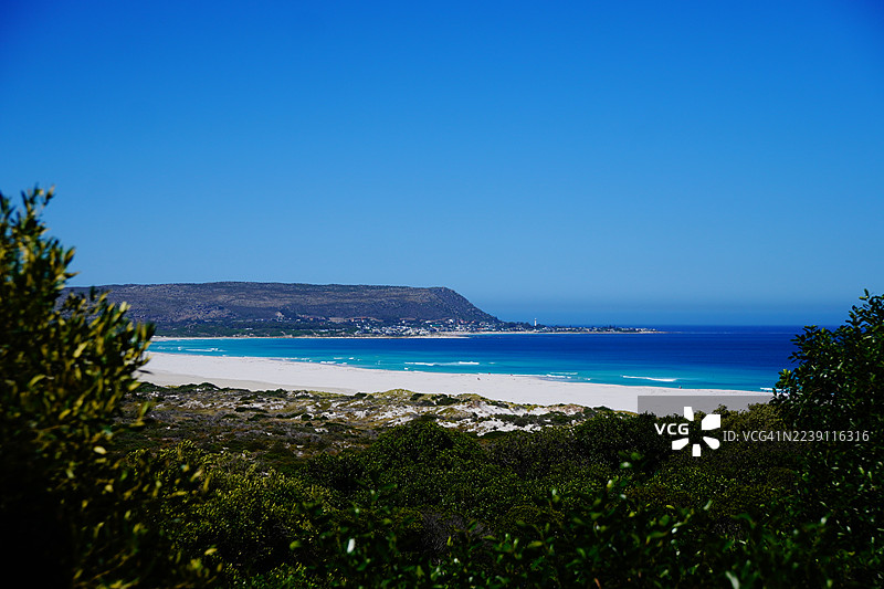 南非诺德胡克海滩，树木间的景致图片素材