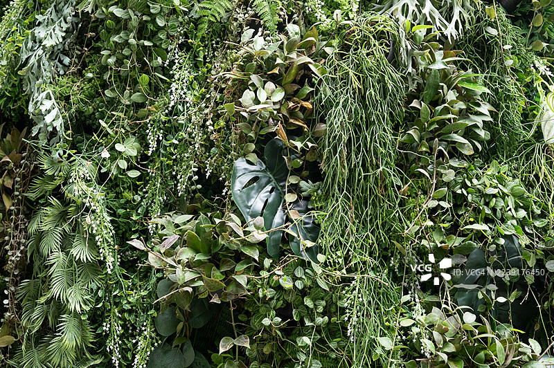 建筑外墙上覆盖着人造植物叶子塑料板图片素材