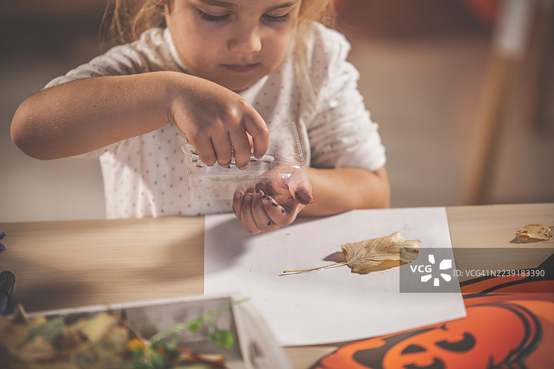秋季活动中，孩子在纸上用树叶进行手工创作，聚焦于双手和创造力图片素材