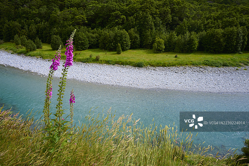 新西兰南岛哈斯特山口马卡罗拉河蓝池，河水流过绿色的风景，远方有森林覆盖的山丘和天空中的云彩，马卡罗拉路，哈斯特，南岛，新西兰图片素材