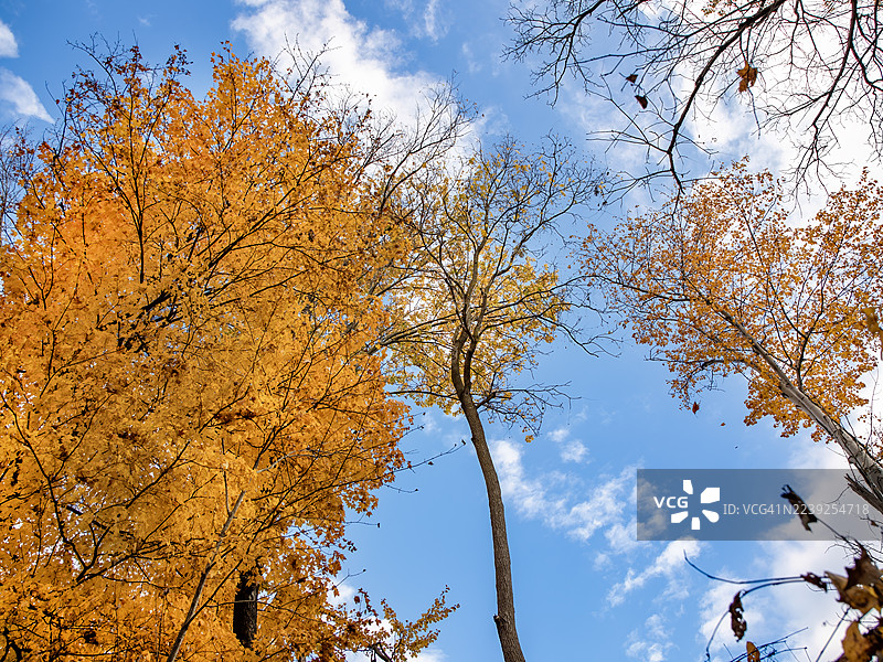 秋天的天空图片素材