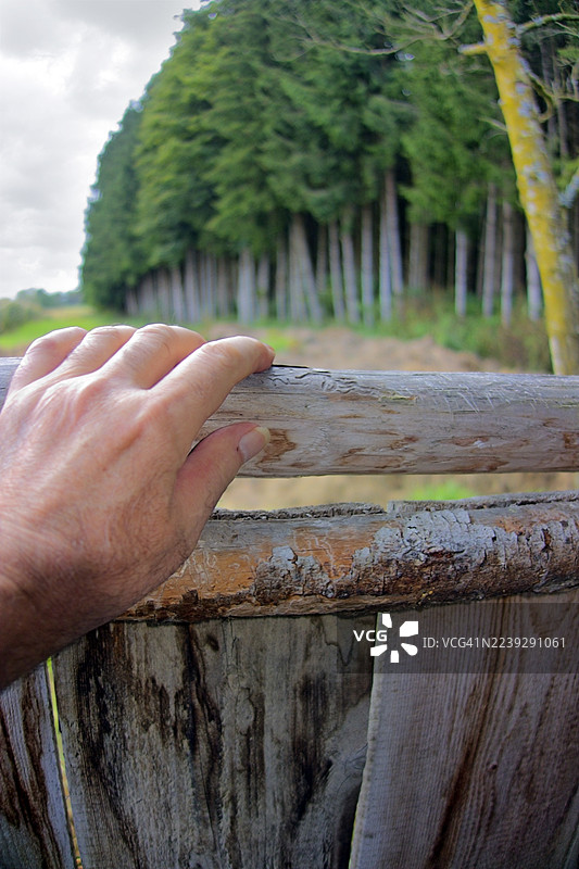 在森林乡村附近自制的狩猎瞭望台内的持木制结构的猎人，正在进行野鹿狩猎图片素材
