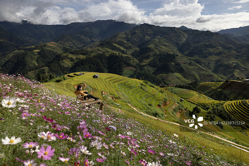 越南 mu cang chai 的稻田梯田弯曲。图片素材