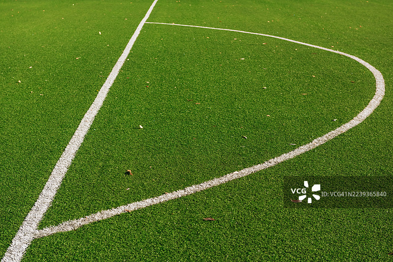 秋叶覆盖的绿色足球场上的白色标记图片素材