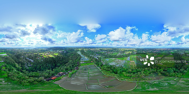 巴厘岛乌布市周边的稻田图片素材