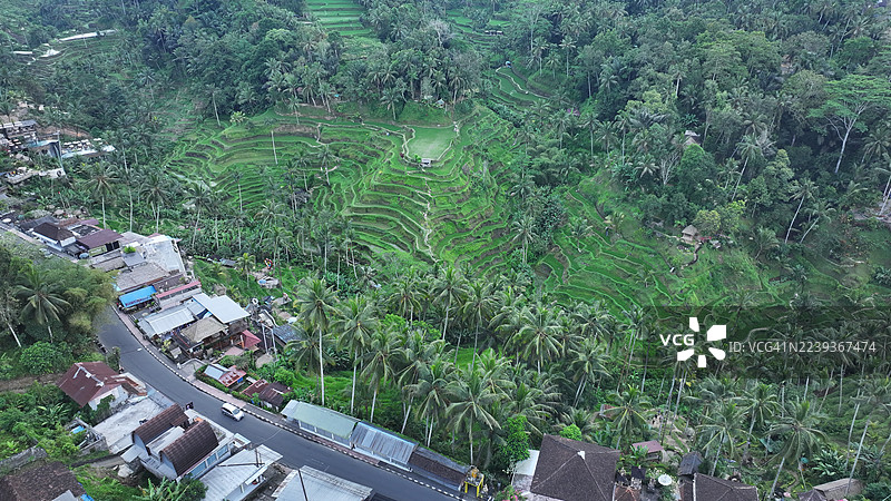巴厘岛乌布德格拉朗梯田，印度尼西亚图片素材