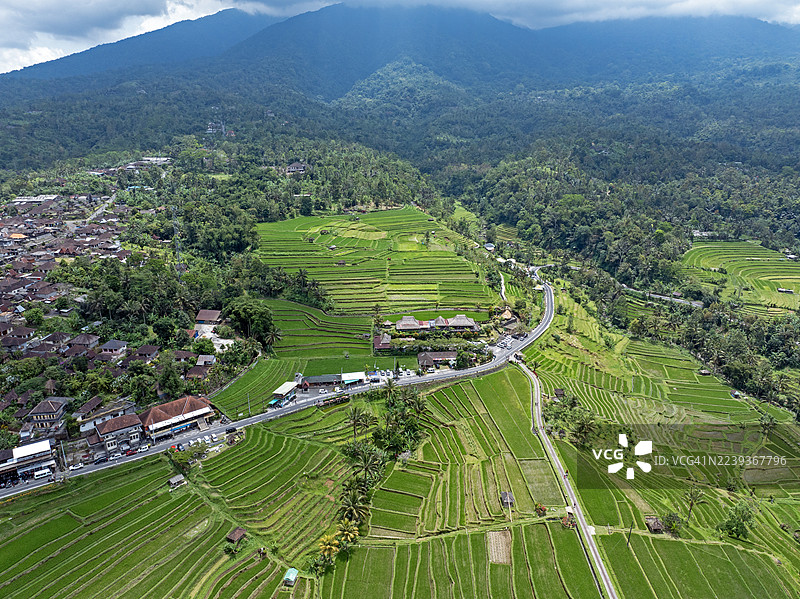 贾蒂卢维梯田，巴厘岛塔巴南，印度尼西亚图片素材