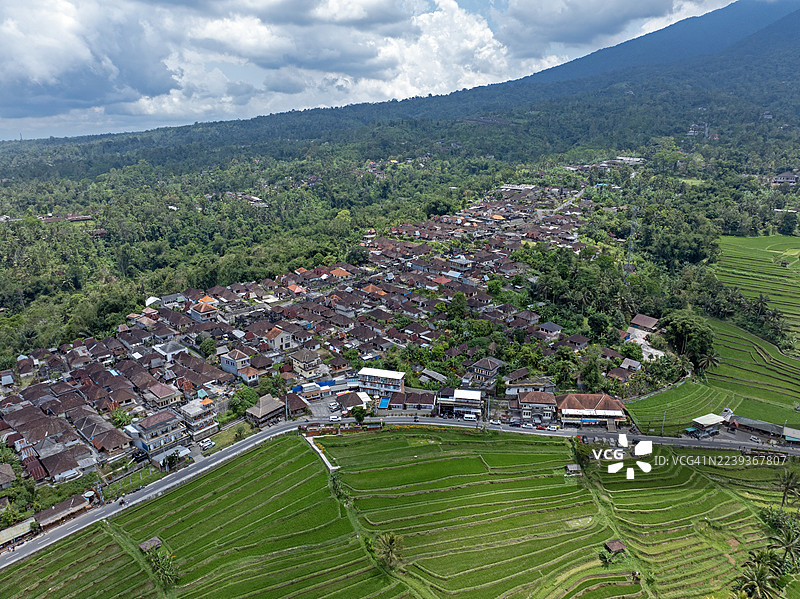 印尼巴厘岛塔巴南 Jatiluwih 稻田梯田图片素材