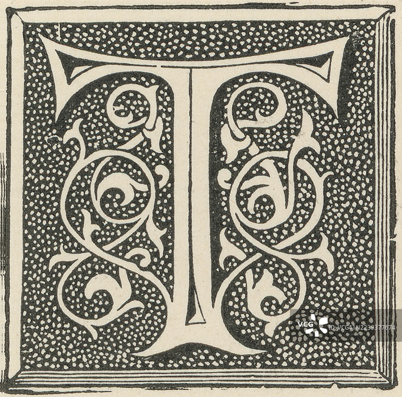 字母T的旧版雕刻插图，装饰性花边图片素材